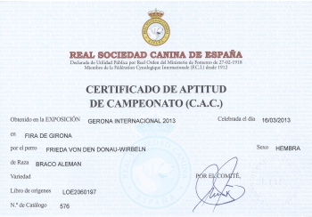 Certificado de Aptitud Girona
